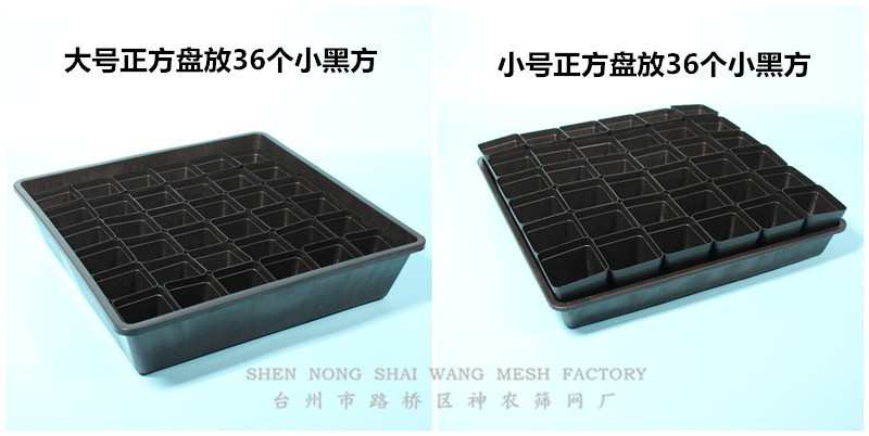 IMG_4160_副本_副本