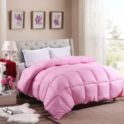 2019新款羽丝绒被芯加厚保暖冬被亲肤柔软学生冬被 被芯批发