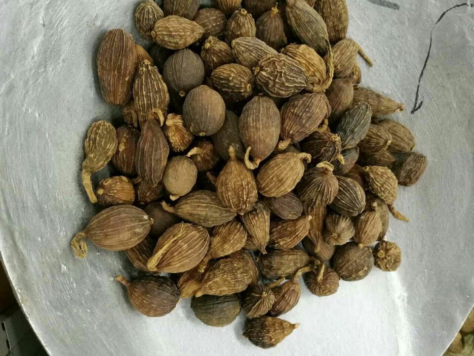 16EC776A021D4F9239C20F84805285