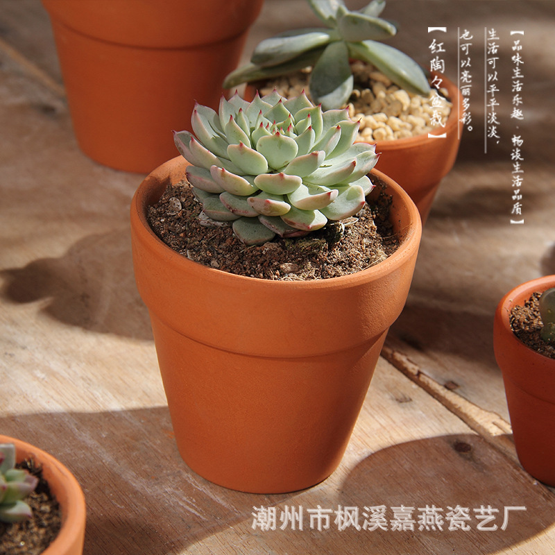 TB2pwmNmVXXXXbkXpXXXXXXXXXX_!!