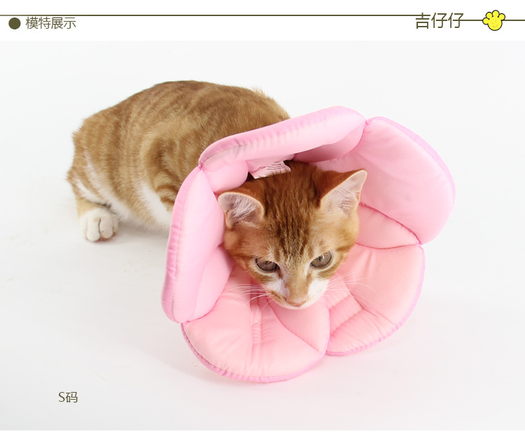 K006花朵款伊丽莎白圈详情图_17