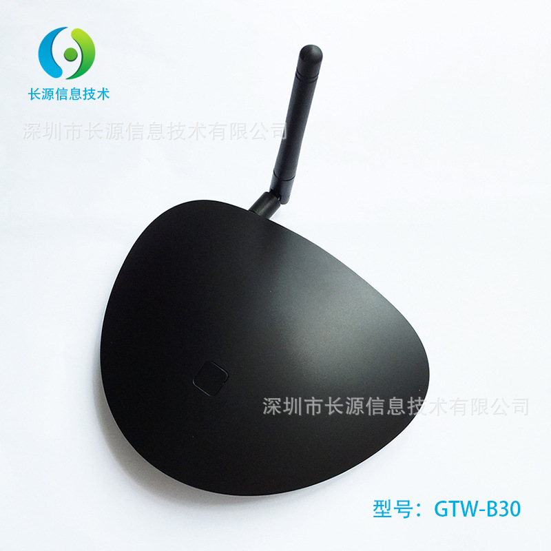 GTW-B30_01