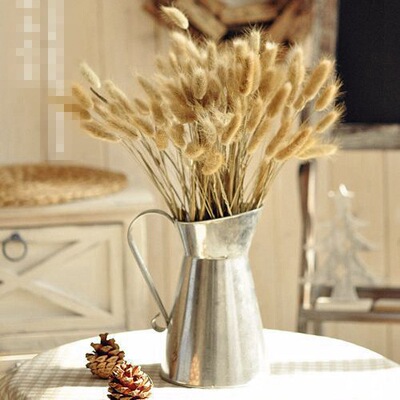 天然植物风 永生花干花干草 ZAKKA杂货拍照道具|ru