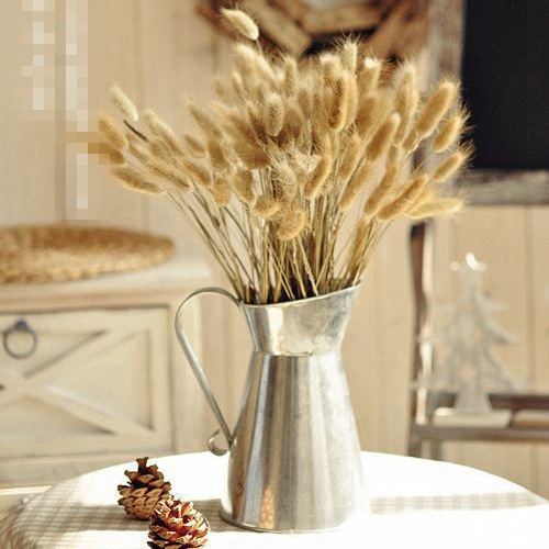 天然植物风 永生花干花干草 ZAKKA杂货拍照道具|ru