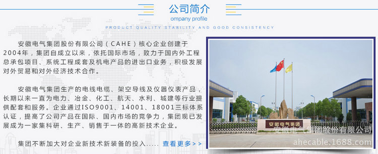 公司简介