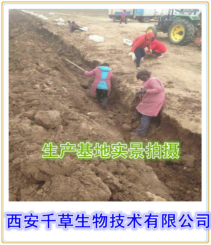 生产基地实景拍摄3