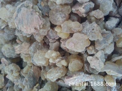 frankincense Primary sources wholesale