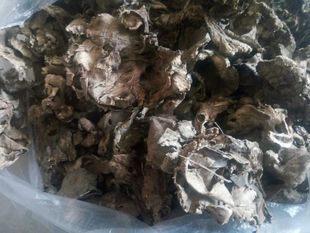 �`֥֮�һҘ仨�Ҙ乽�蹽�a�����lһ��؛ԴҰ�����a�B���I�B