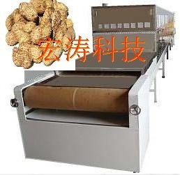 Shijiazhuang Manufactor supply microwave peanut baking Sterilization machine Stainless steel Customized HT-20 microwave Ripening equipment