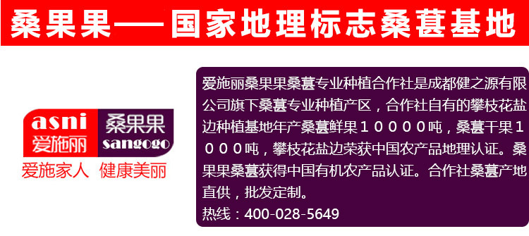 2016新货桑葚干加工环境