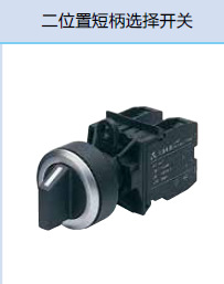 TAYEE上海天逸 Φ30系列二位置短柄选择开关LA423X2-10/B