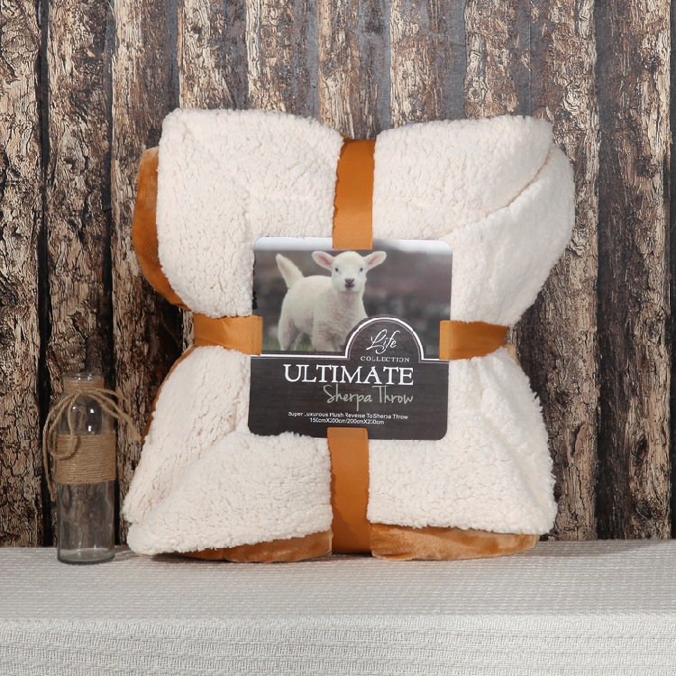 Directo de fábrica de doble capa de lana de cordero manta de franela engrosada coral polar manta de color sólido impreso LOGO al por mayor