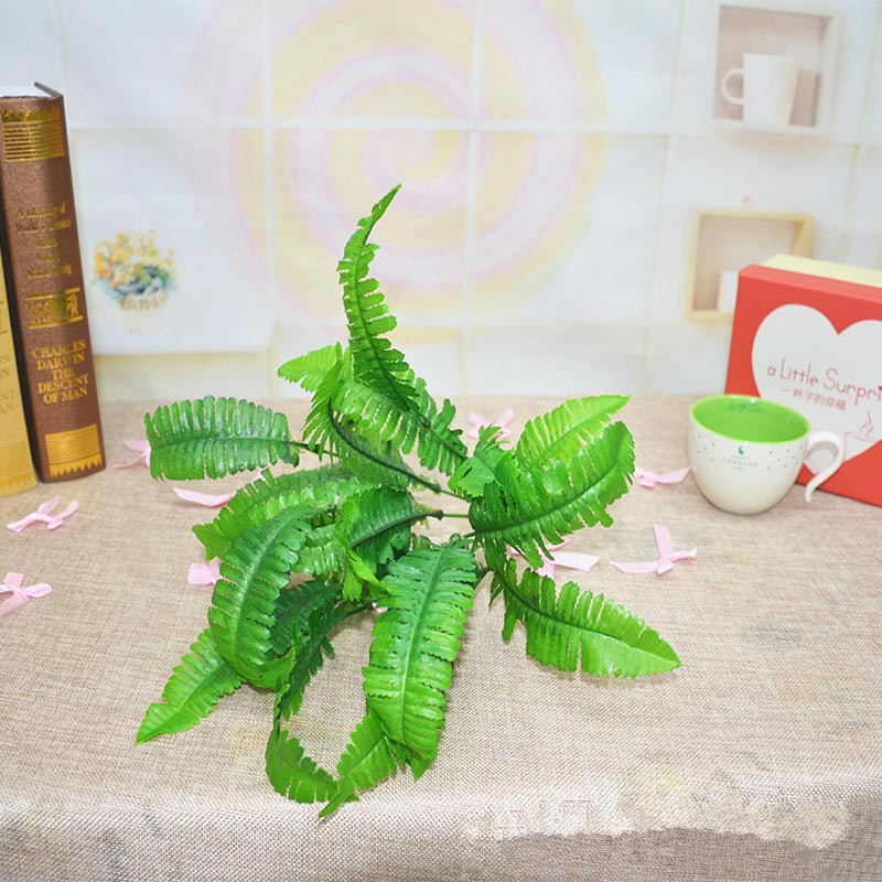 2948287602_991485785_副本