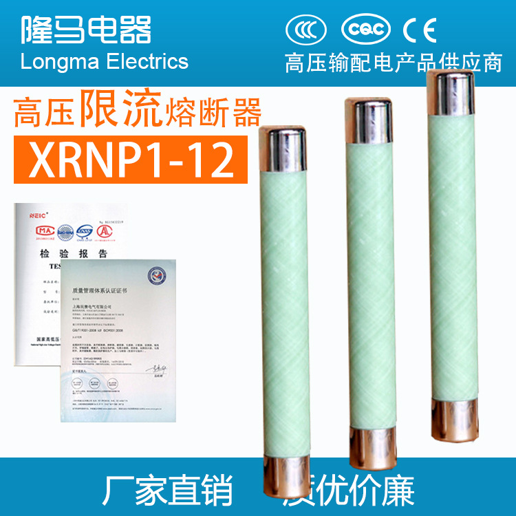 XRNP1-12/0.5 尺寸25*195 电压互感器保护用 户内高压限流熔断器