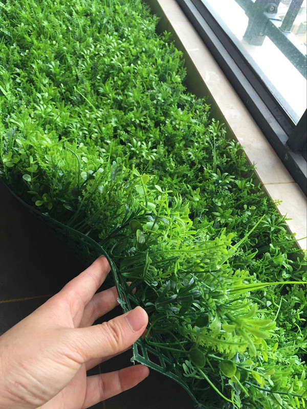 QQ图片20160707150139_副本