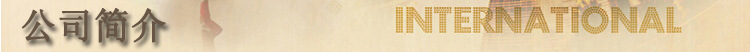 公司簡介