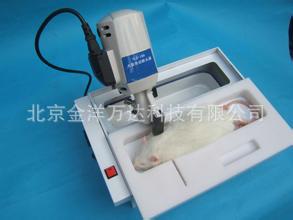 大鼠电动断头器厂家直销 JY-YLS-19A