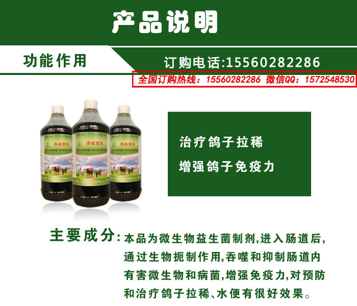养鸽益生菌