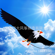 Ϋ ӥ 3DǰŸӥ Eagle kite