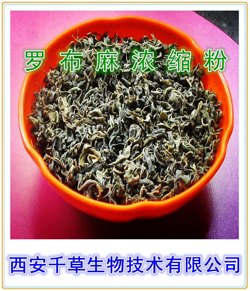 罗布麻浓缩粉