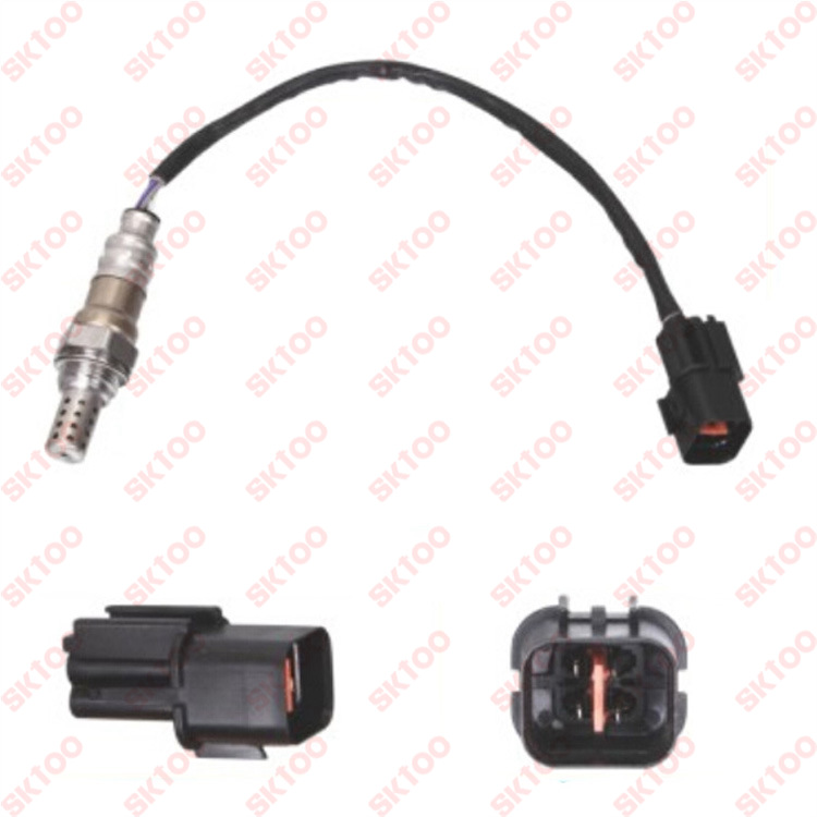 ������ŷ ������������ֱ�� 9024423