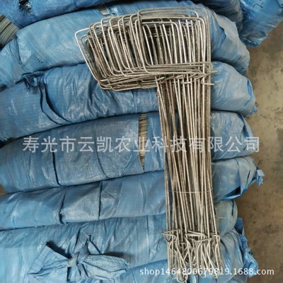 冬暖式蔬菜大棚专用50cm2.8mm地锚紧固钢丝热镀锌钢丝加工制成