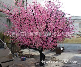 �����һ��䣬�ѻ��䣬Ҭ�Ә䣬�GСֲ��ȸ��N��С��gӭ��D����
