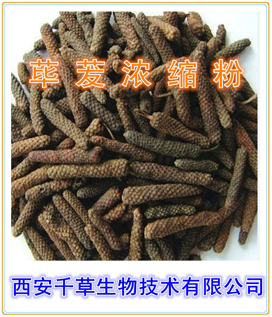 荜茇浓缩粉