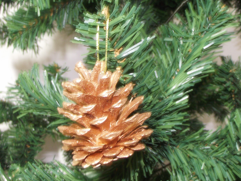 T2IpODXpdXXXXXXXXX_!!249184579