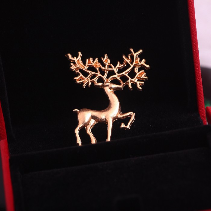 2687810298_1327870113