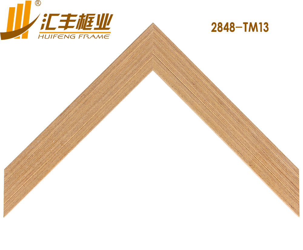 2848-TM13正面 副本