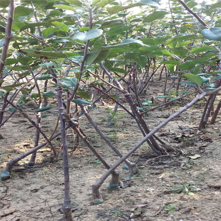 QQ图片20161004100249