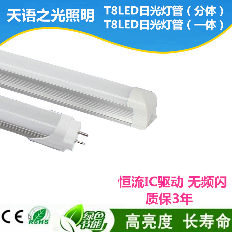 T8LED日光灯
