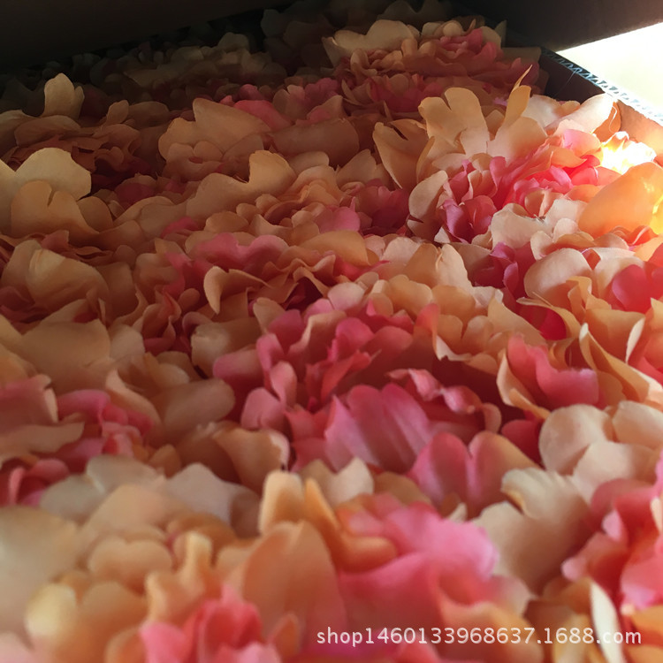 IMG_0044