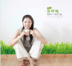 SK7016 Green Grass Skirting Board for Entrance Hall, Showcase, Bedroom, Living Room, and Cabinet Decorative Wall Sticker