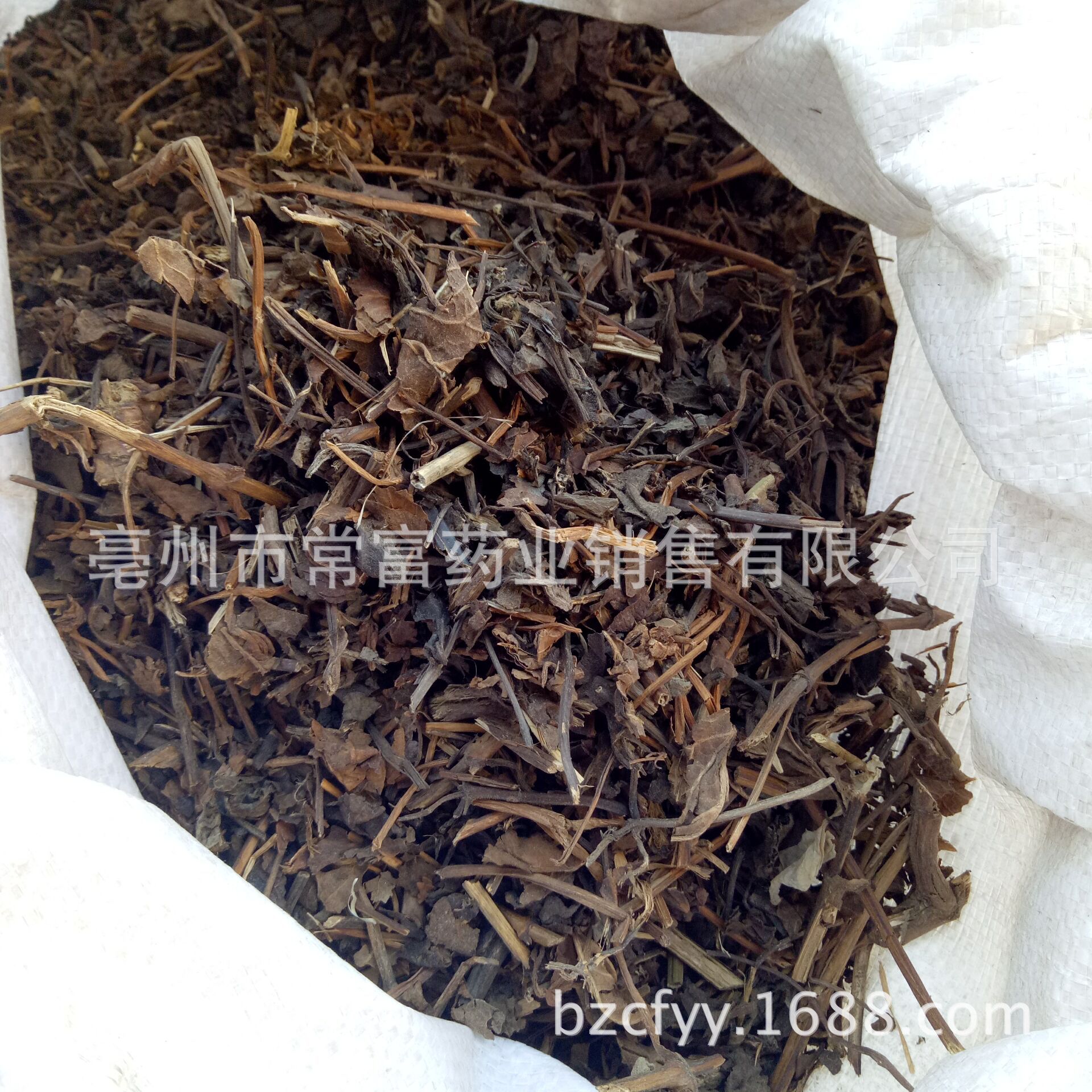 Sage Fine Powder Shu Wei Cao Culinary Herbal Powder 500g in use
