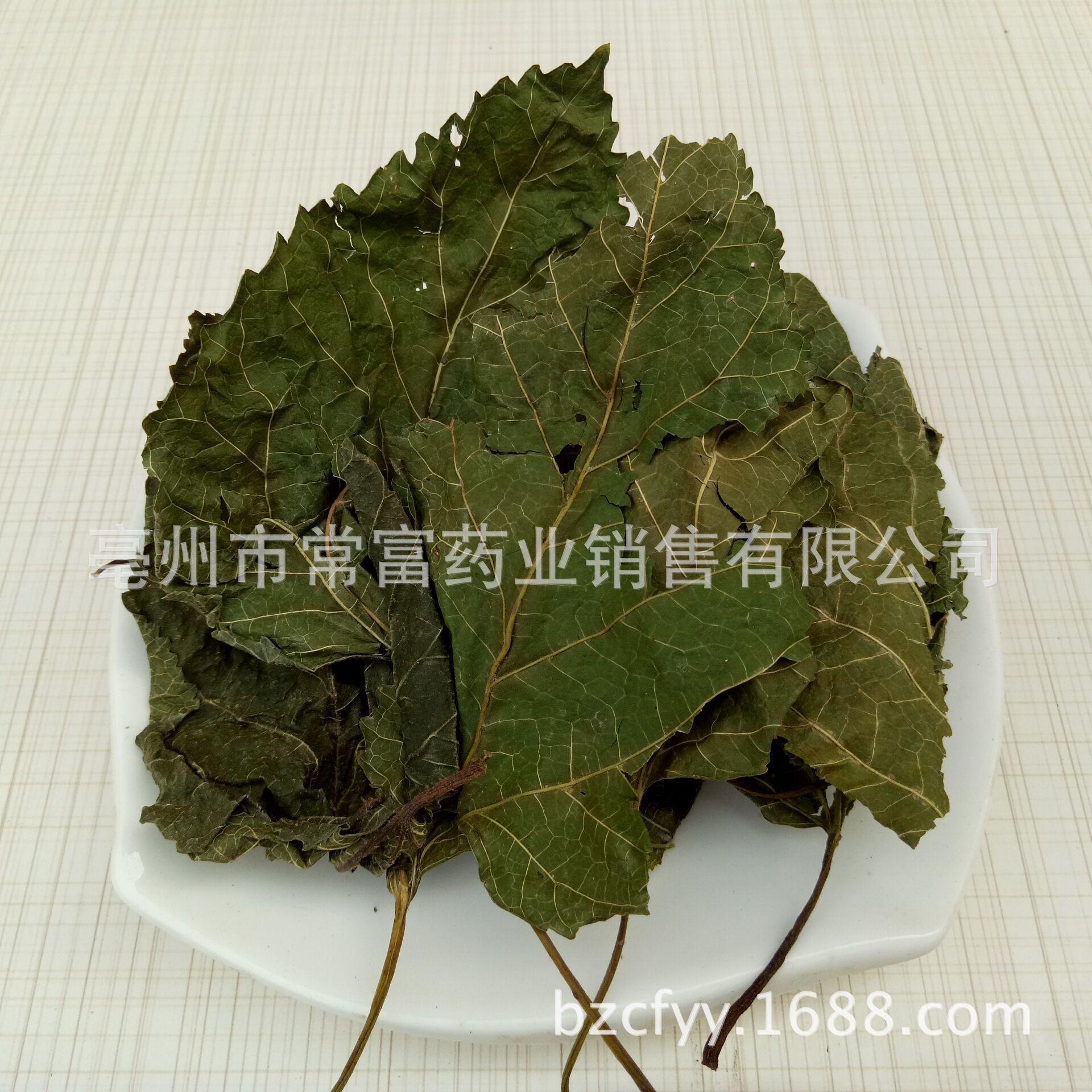 供应中药材桑叶 青桑叶 桑椹树药用霜桑叶蚕桑袋泡茶粉碎一件代发-阿里巴巴