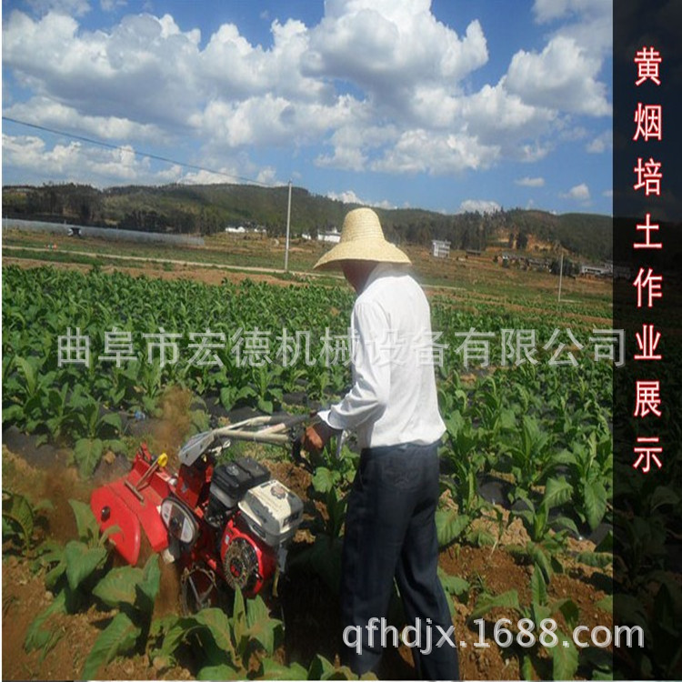 2200947489_1956226651