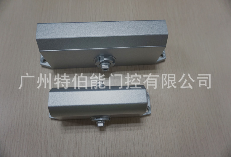 DSC00908_副本