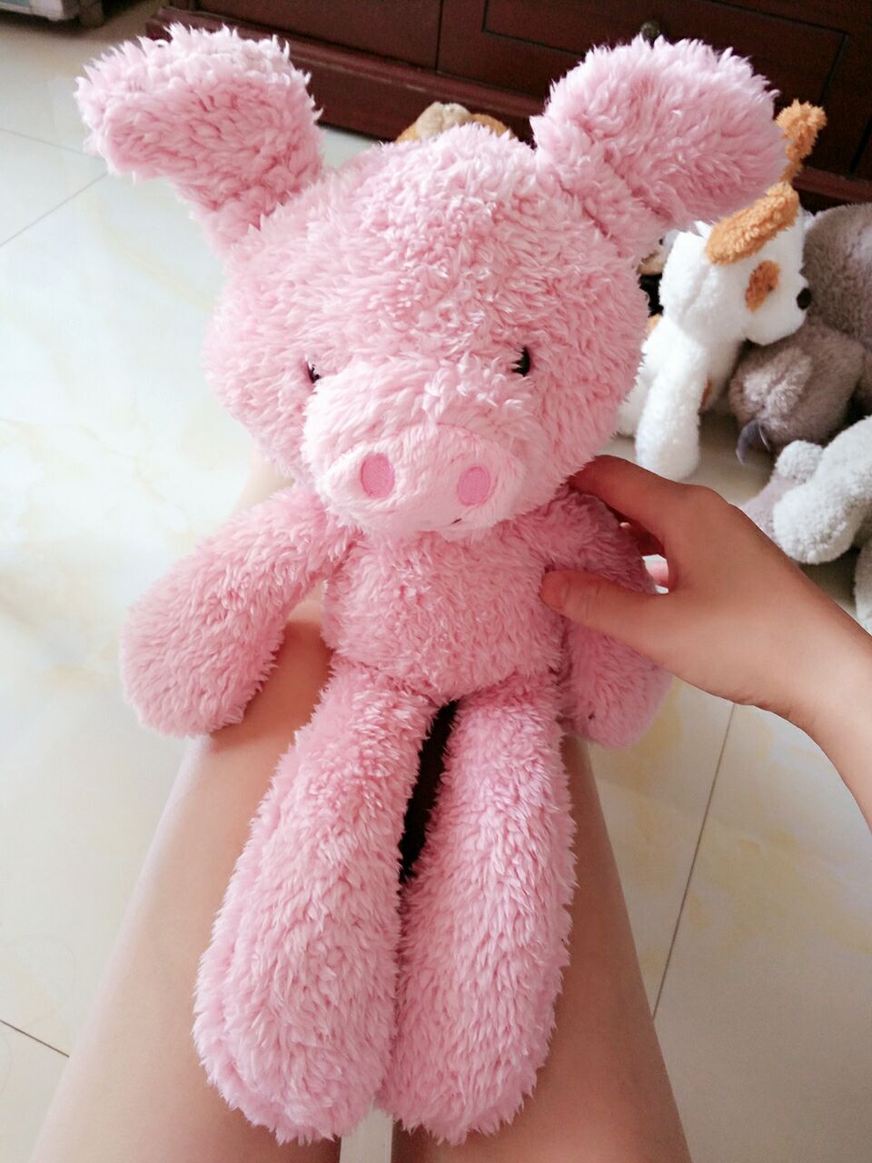 QQ图片20160814154559