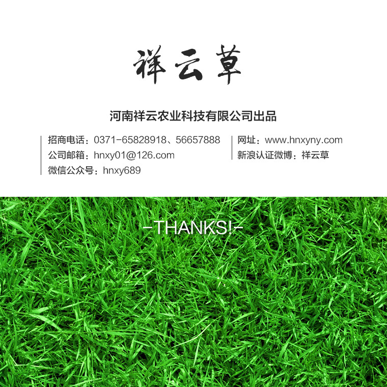 1109-鞋墊眾籌設計稿_15