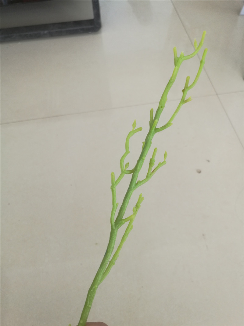 花茎花梗,花梗花茎,花茎花枝(第2页)_大山谷图库