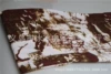Landscape Chinese Painting Brown