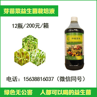 芽苗菜益生菌