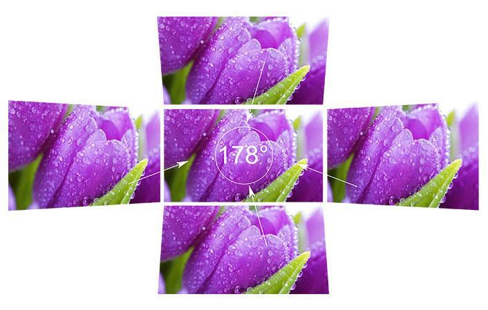 fw1019富威德feelworld详情_02