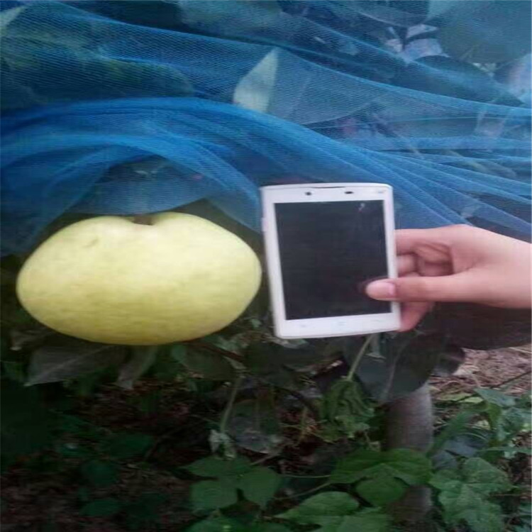 QQ图片20160802101256