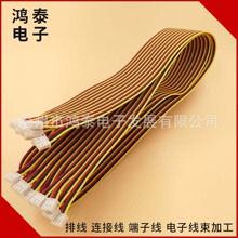 电子线束 排线 各种电器控制线端子连接线 汽车线束排线