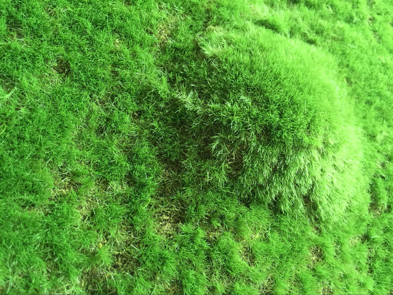 QQ图片20160707150558_副本