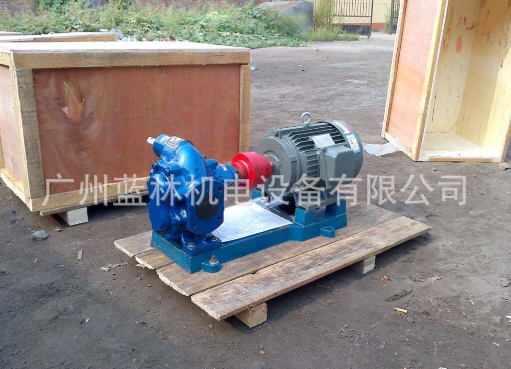 TKB483高温齿轮油泵 润滑油专用卧式齿轮泵 河北泊头油泵厂 