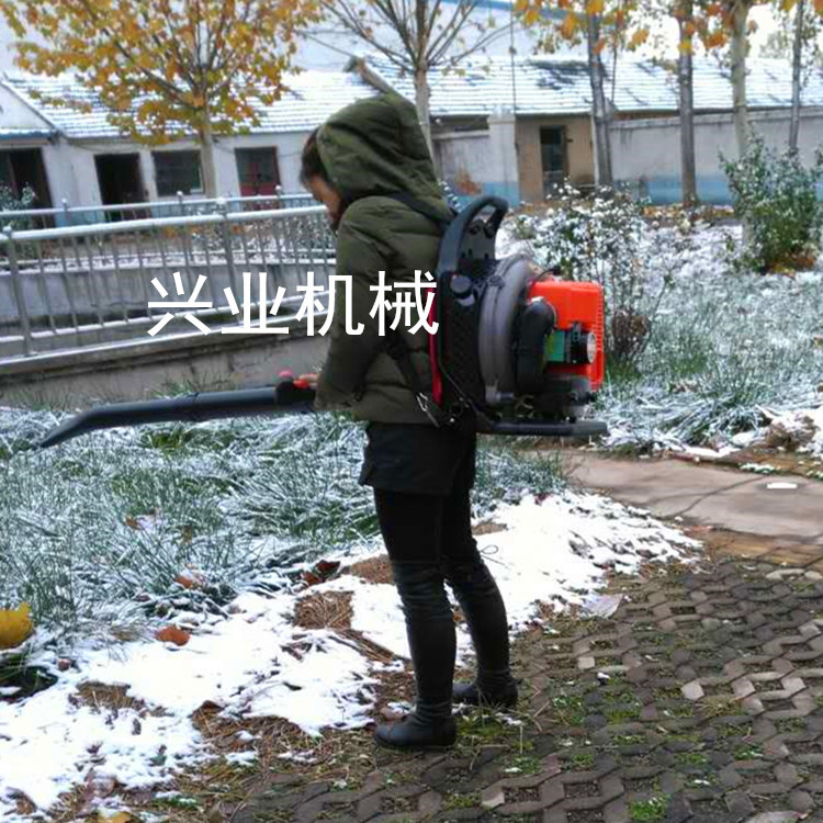 阜平县 高风路面吹雪机 刷扫雪机